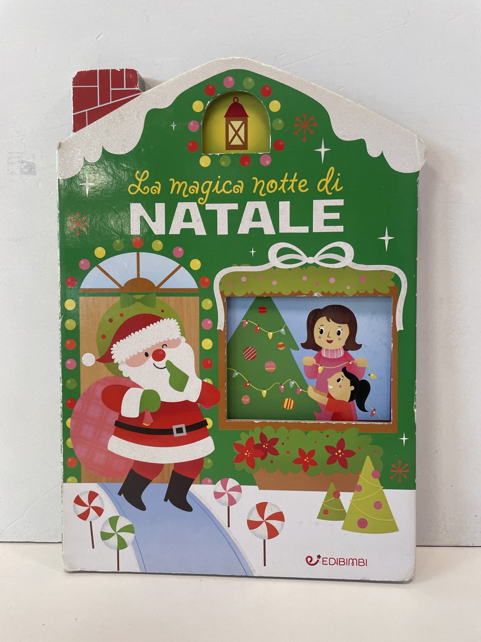 Libro Natale