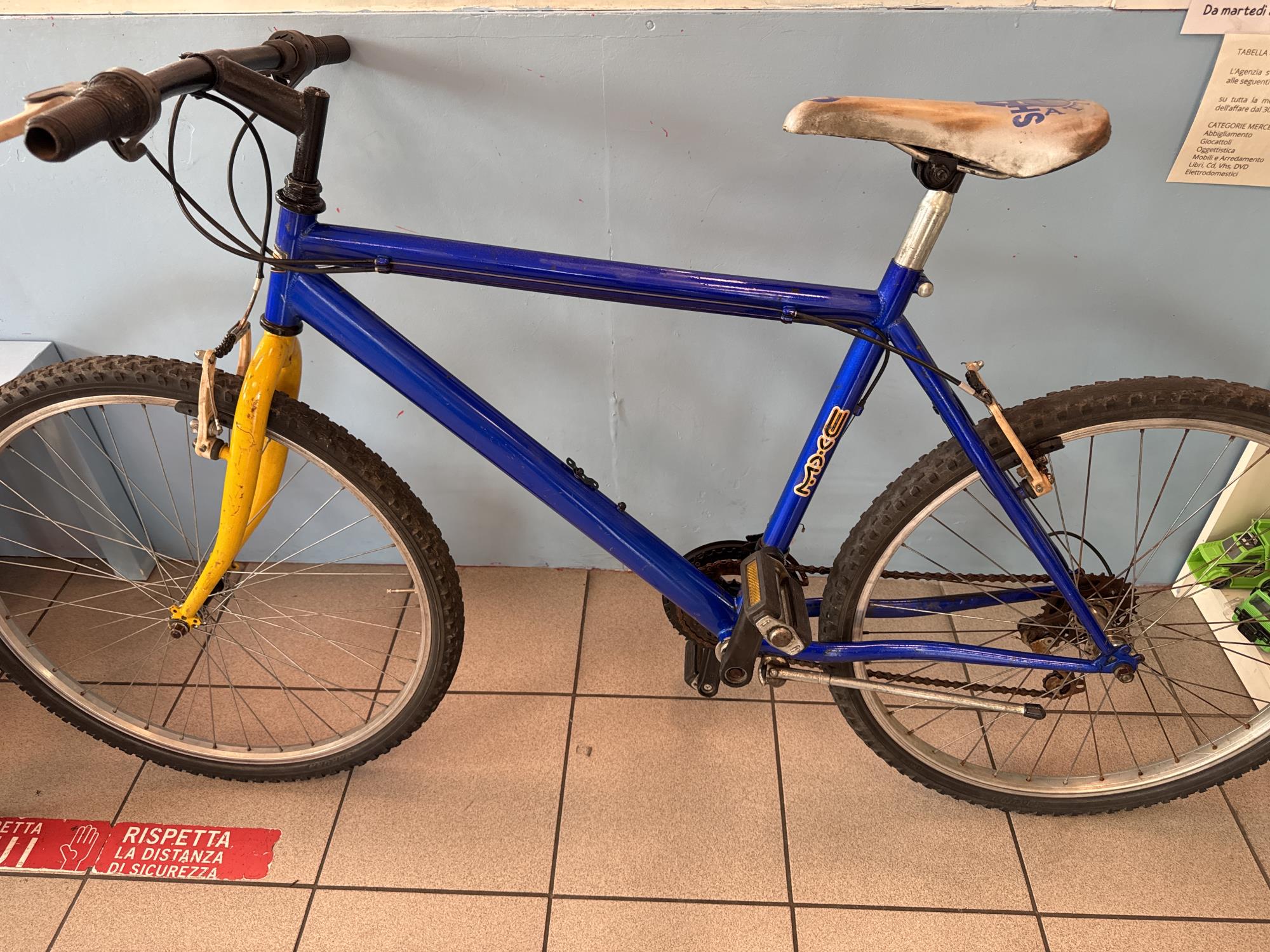 bici ragazzo raggio 26