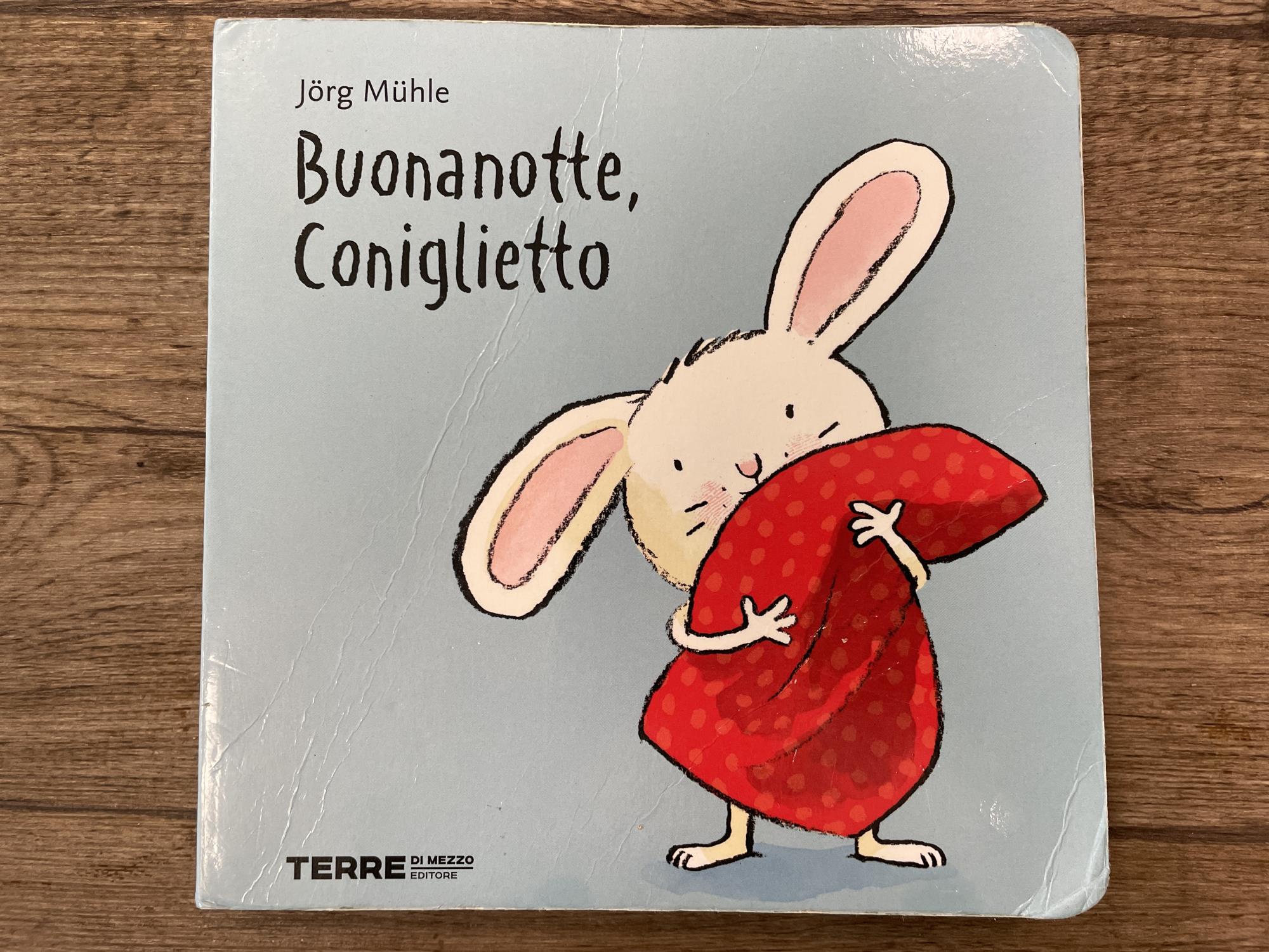 libro buonanotte coniglietto