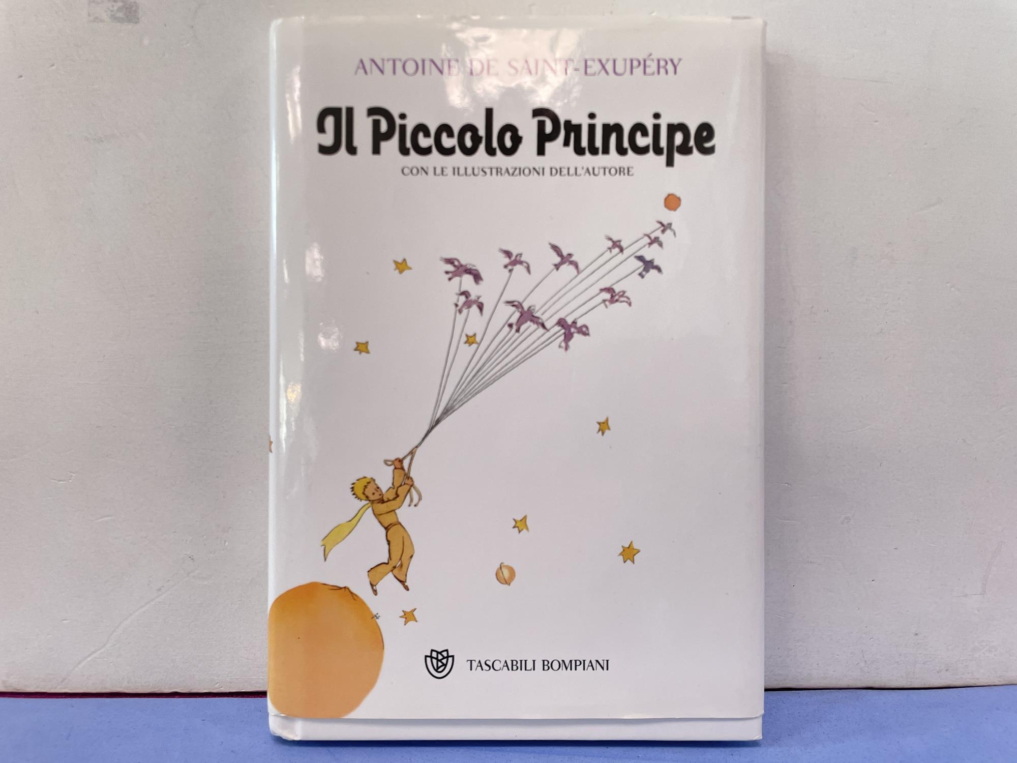 libro ilpiccolo principe